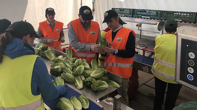 El consejero Miguel &Aacute;ngel del Amor durante su visita a una plataforma hort&iacute;cola en la pedan&iacute;a de Balsapintada, Fuente &Aacute;lamo.