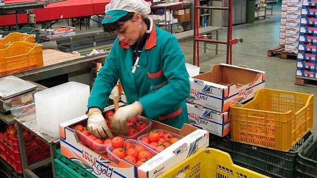El frenazo del sector exterior tirar&aacute; de la econom&iacute;a a la baja