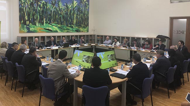 Imagen de la reuni&oacute;n del Comit&eacute; CARM-Brexit.