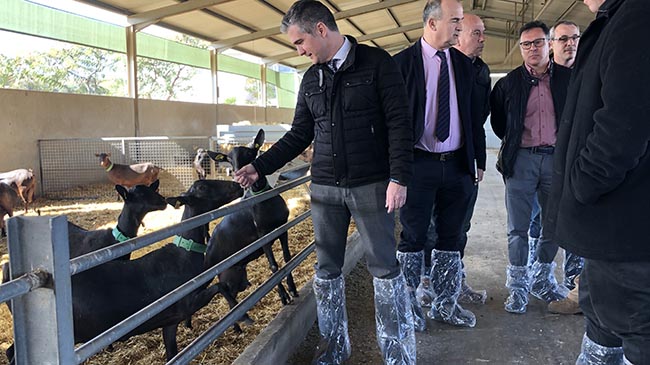 El consejero Miguel &Aacute;ngel del  Amor durante su visita a las instalaciones de la granja caprina Kpra Leche y Gen&eacute;tica S.L.