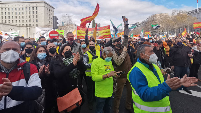Imagen de la manifestaci&oacute;n de agricultores y ganaderos celebrada este domingo en Madrid