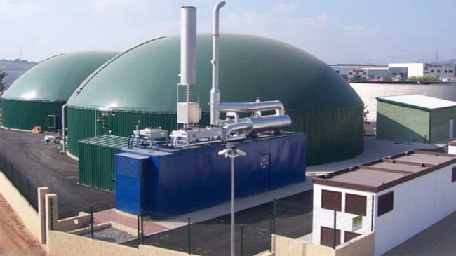 Modelo de planta de biog&aacute;s