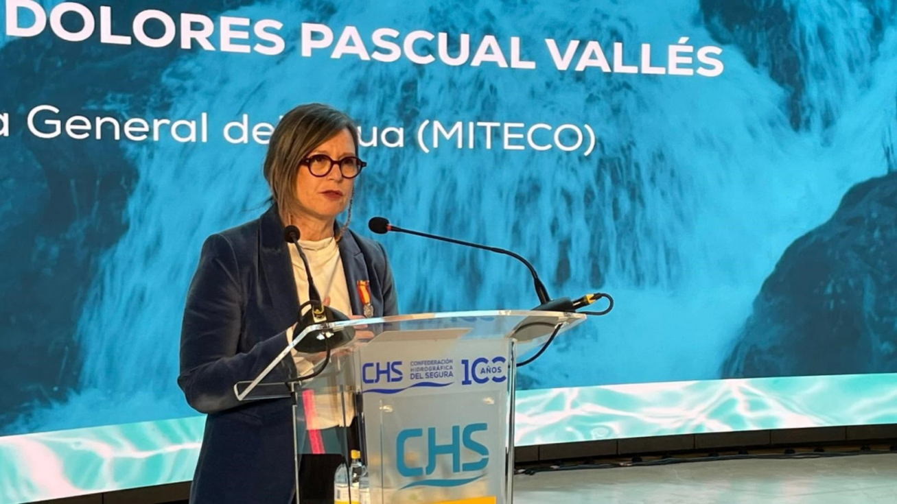 La directora general del Agua, Mar&iacute;a Dolores Pascual.