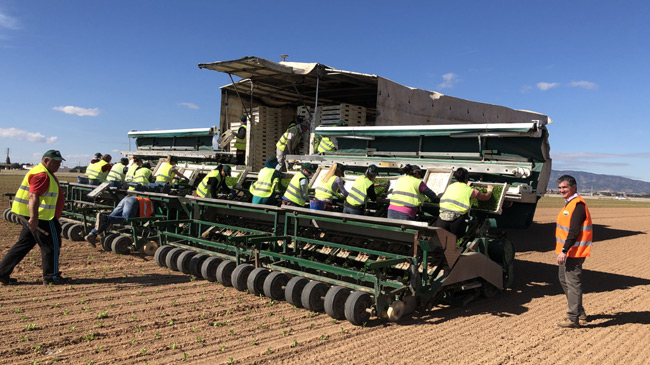La maquina se adapta a cualquier tipo de cultivo hort&iacute;cola