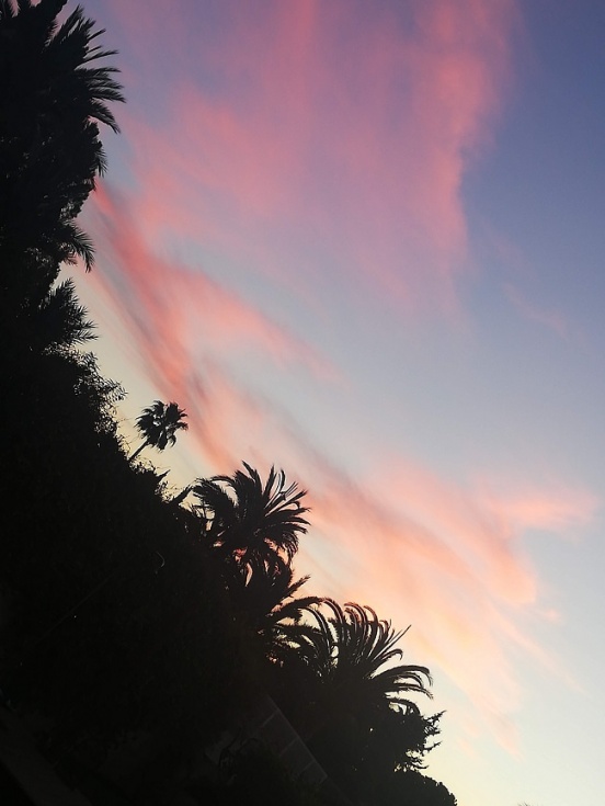 [Img #79211]