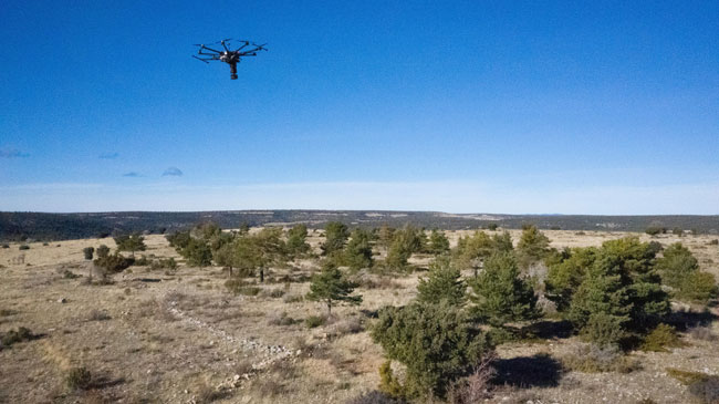 Un dron de Iberdrola siembra semillas