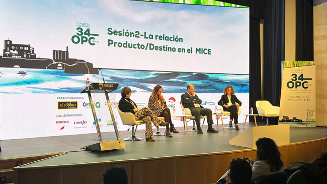 Mesa redonda durante la celebraci&oacute;n del congreso en Santander