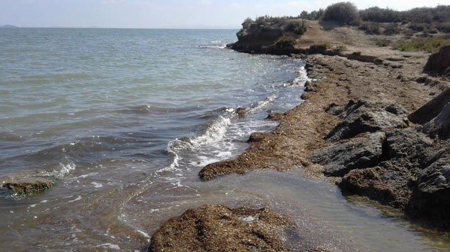 Entrada de agua con nitratos al Mar Menor