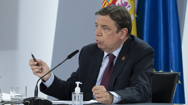 El ministro Luis Planas en la rueda de prensa tras el Consejo de Ministros