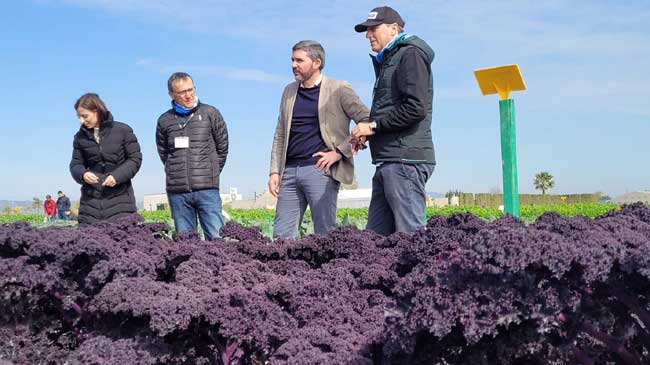 Visita a la finca El Aljibe, propiedad de Bejo Ibérica Visita a la finca El Aljibe, propiedad de Bejo Ibérica