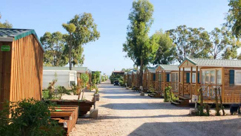 Imagen del camping La Manga Imagen del camping La Manga
