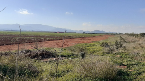 V&iacute;as pecuarias de la zona de Torre Pacheco