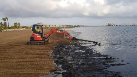 Retirada de biomasa en una playa del Mar Menor