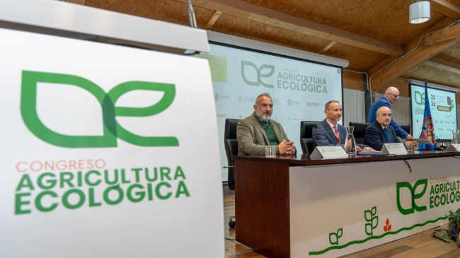 Imagen realizada durante el evento - Ayuntamiento de Cartagena