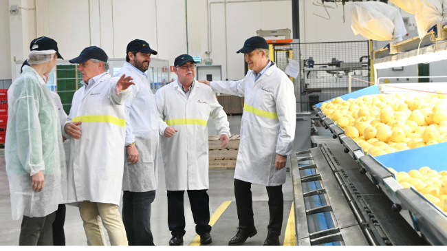 El presidente del Partido Popular, Alberto N&uacute;&ntilde;ez Feij&oacute;o, y el del PP regional, Fernando L&oacute;pez Miras, durante su visita a una empresa agroalimentaria en Librilla.
