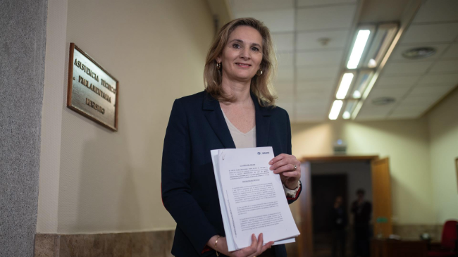 La vicesecretaria de Desarrollo Sostenible del PP, Paloma Mart&iacute;n, en el Senado - Alejandro Mart&iacute;nez V&eacute;lez.
