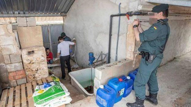 Intervenci&oacute;n de la Guardia Civil en una explotaci&oacute;n agr&iacute;cola