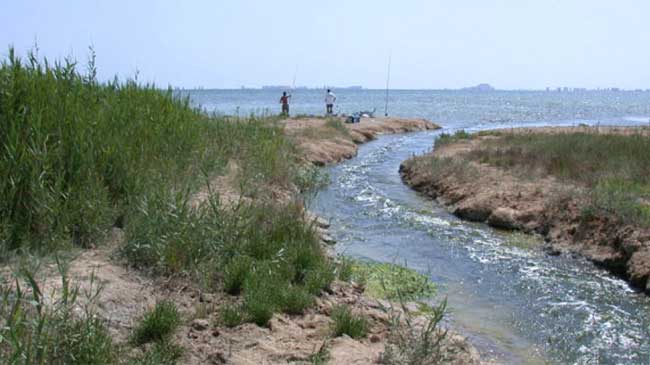 Entrada de agua dulce al Mar Menor por la rambla del Albuj&oacute;n