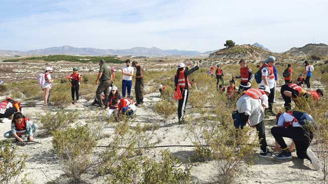 Momento de la plantaci&oacute;n de &aacute;rboles