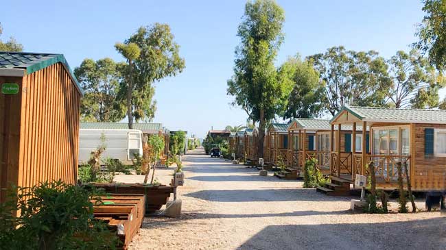 Imagen del camping La Manga