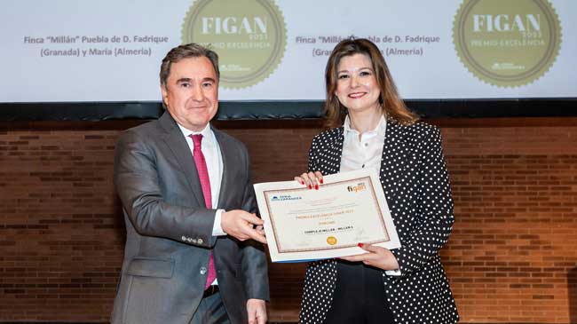 La directora general adjunta de Cefusa, Inmaculada Cánovas, recibe el premio La directora general adjunta de Cefusa, Inmaculada Cánovas, recibe el premio