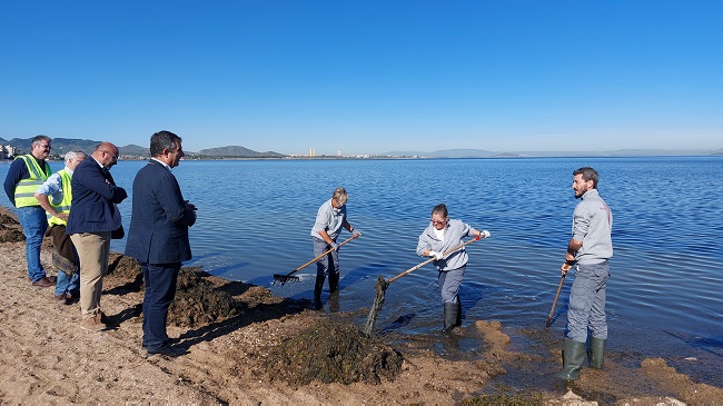Retirada de biomasa en la playa de Los Urrutias