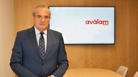 Luis Mart&iacute;nez de Salas, director general de Av&aacute;lam