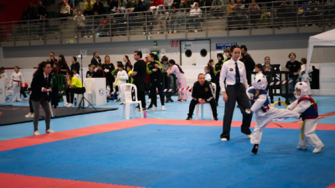 Instante de un combate (A. Radovan)