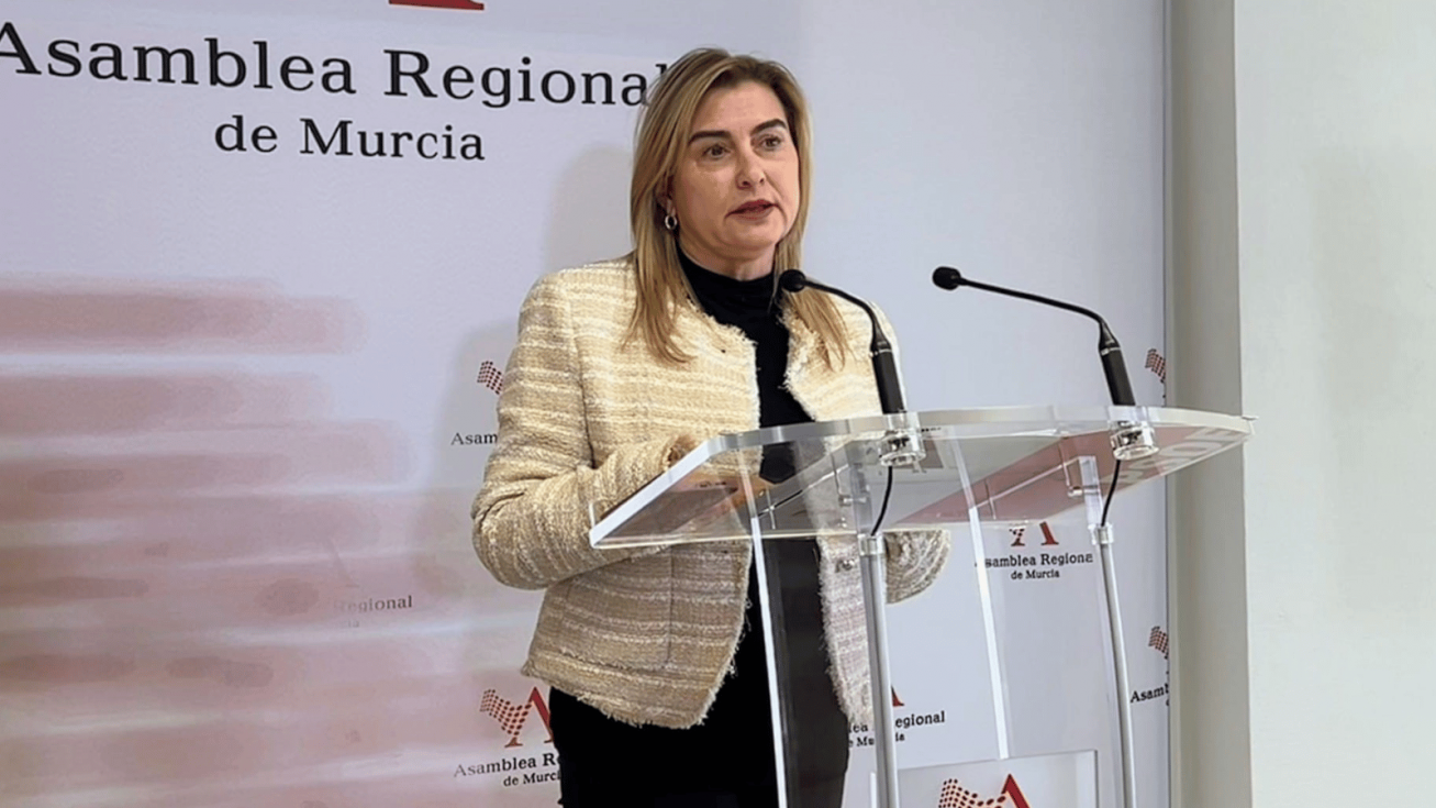 La portavoz del Grupo Parlamentario Socialista, Carmina Fernández La portavoz del Grupo Parlamentario Socialista, Carmina Fernández
