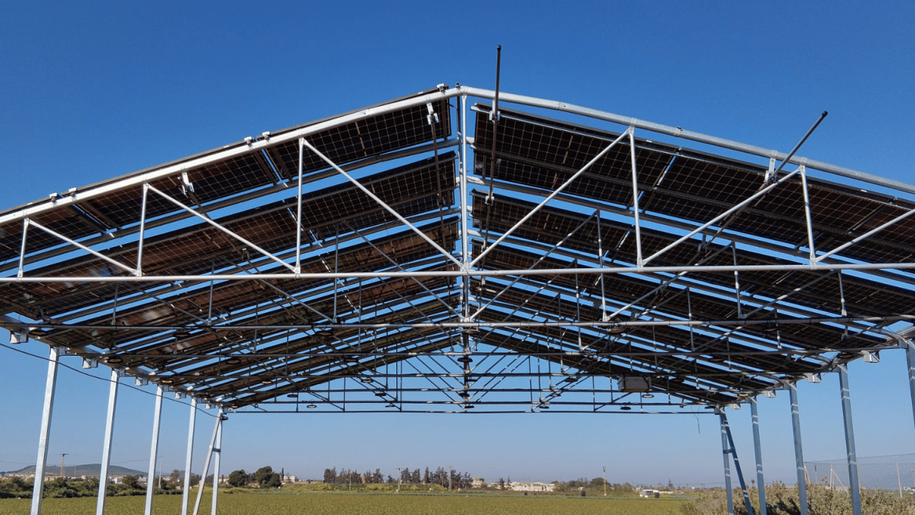La UPCT impulsa una nueva estructura agrovoltaica que produce alimentos y energía limpia de forma simultánea La UPCT impulsa una nueva estructura agrovoltaica que produce alimentos y energía limpia de forma simultánea