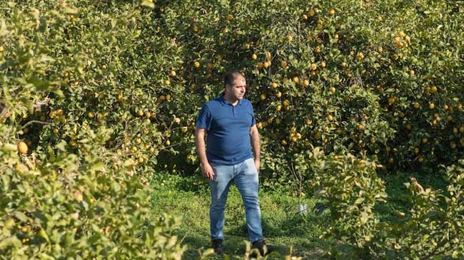 La transmisi&oacute;n de fincas a los herederos ser&aacute; pr&aacute;cticamente gratuita