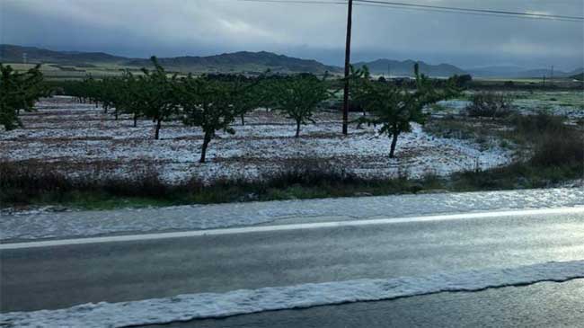 Granizada esta ma&ntilde;ana sobre los campos de Jumilla