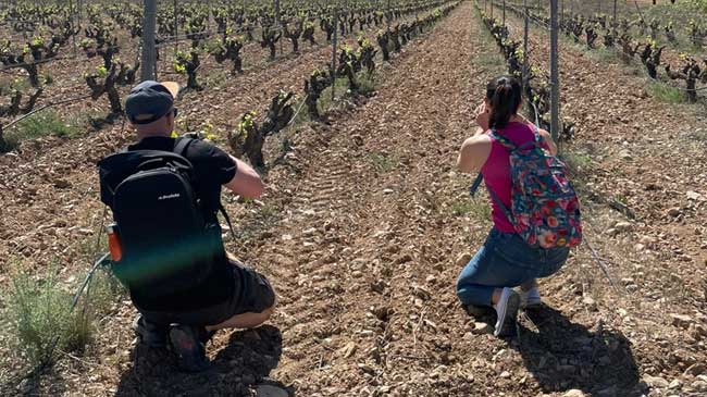 Periodistas finlandeses en un vi&ntilde;edo de Bullas