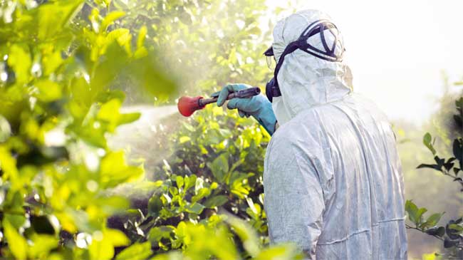 Aplicaci&oacute;n de pesticida