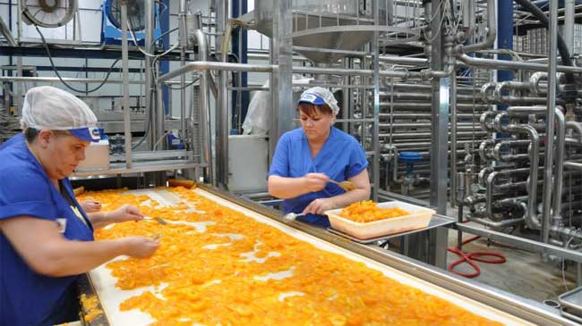 Instalaciones de Mensajero Alimentaci&oacute;n en Bullas