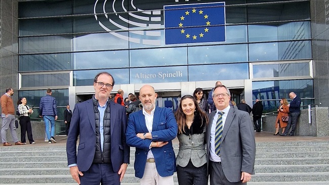 Representantes de la automoci&oacute;n espa&ntilde;ola ante el Parlamento Europeo