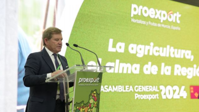 Mariano Zapata, presidente de Proexport Mariano Zapata, presidente de Proexport