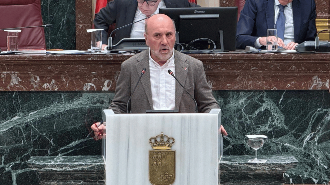 El diputado de IU-Verdes, Jos&eacute; Luis &Aacute;lvarez Castellanos