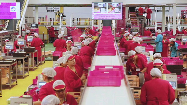 Moyca es una de las principales exportadoras de la Regi&oacute;n a Asia