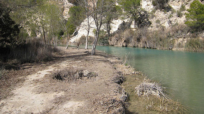 El r&iacute;o Segura a su paso por Moratalla
