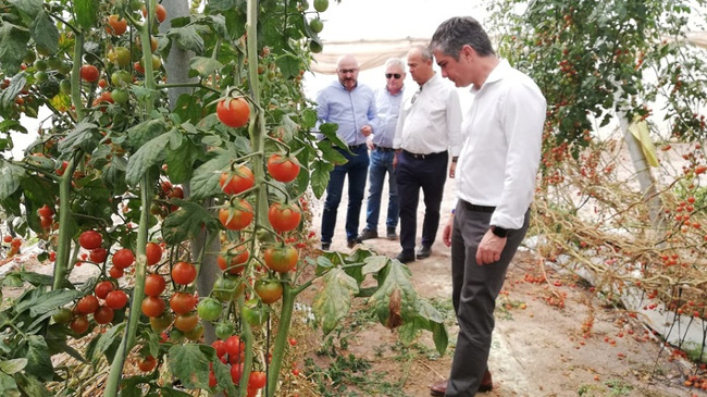 El consejero Del Amor, en los terrenos de ensayo de Ecotomate, en Mazarr&oacute;n
