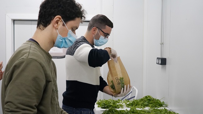 Dos de los estudiantes que participan en el proyecto, embolsando la r&uacute;cula en envases compostables
