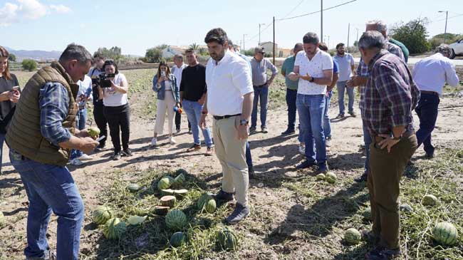 La sand&iacute;a fue el cultivo m&aacute;s afectado por el granizo
