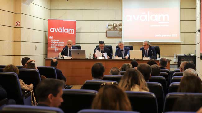 Momento de la Junta General de Av&aacute;lam celebrada hoy