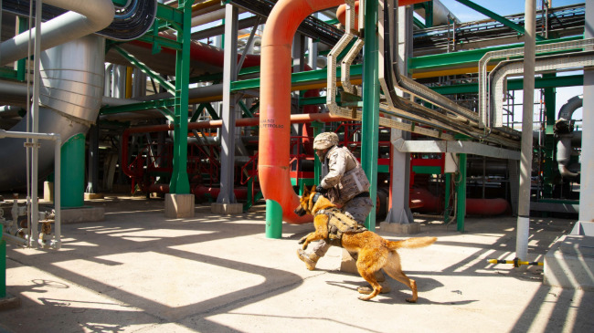 Ejercicio CANEX 1/24, llevado a cabo en el complejo industrial de Repsol en Cartagena