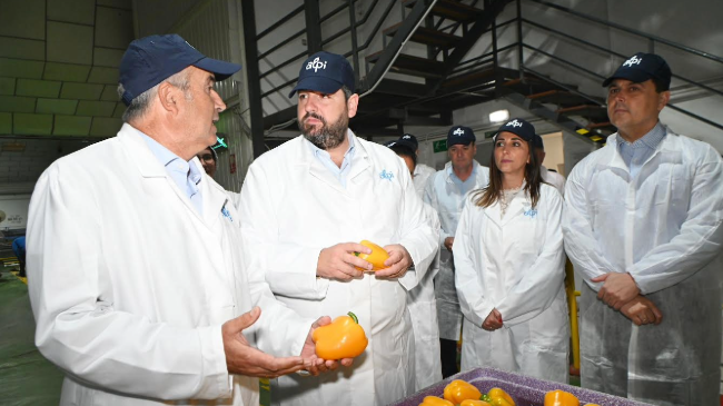 El presidente de la Comunidad, Fernando López Miras, visitó hoy en San Javier las instalaciones de la Sociedad Agrícola de Transformación San Cayetano, con motivo del 50 aniversario de su constitución. El presidente de la Comunidad, Fernando López Miras, visitó hoy en San Javier las instalaciones de la Sociedad Agrícola de Transformación San Cayetano, con motivo del 50 aniversario de su constitución.