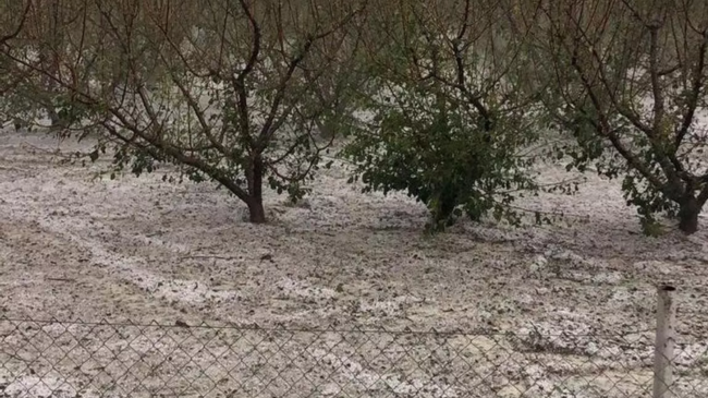 Caída de piedra en los campos de Cieza. / J.G.B. Caída de piedra en los campos de Cieza. / J.G.B.