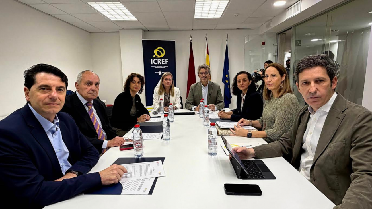 Un momento de la reuni&oacute;n del consejo de administraci&oacute;n del Icref.