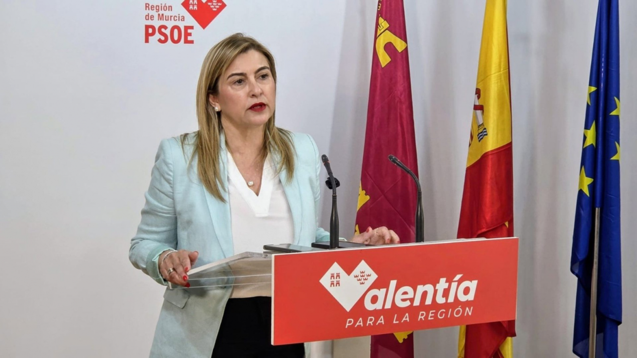 La portavoz del Grupo Parlamentario Socialista, Carmina Fernández. La portavoz del Grupo Parlamentario Socialista, Carmina Fernández.