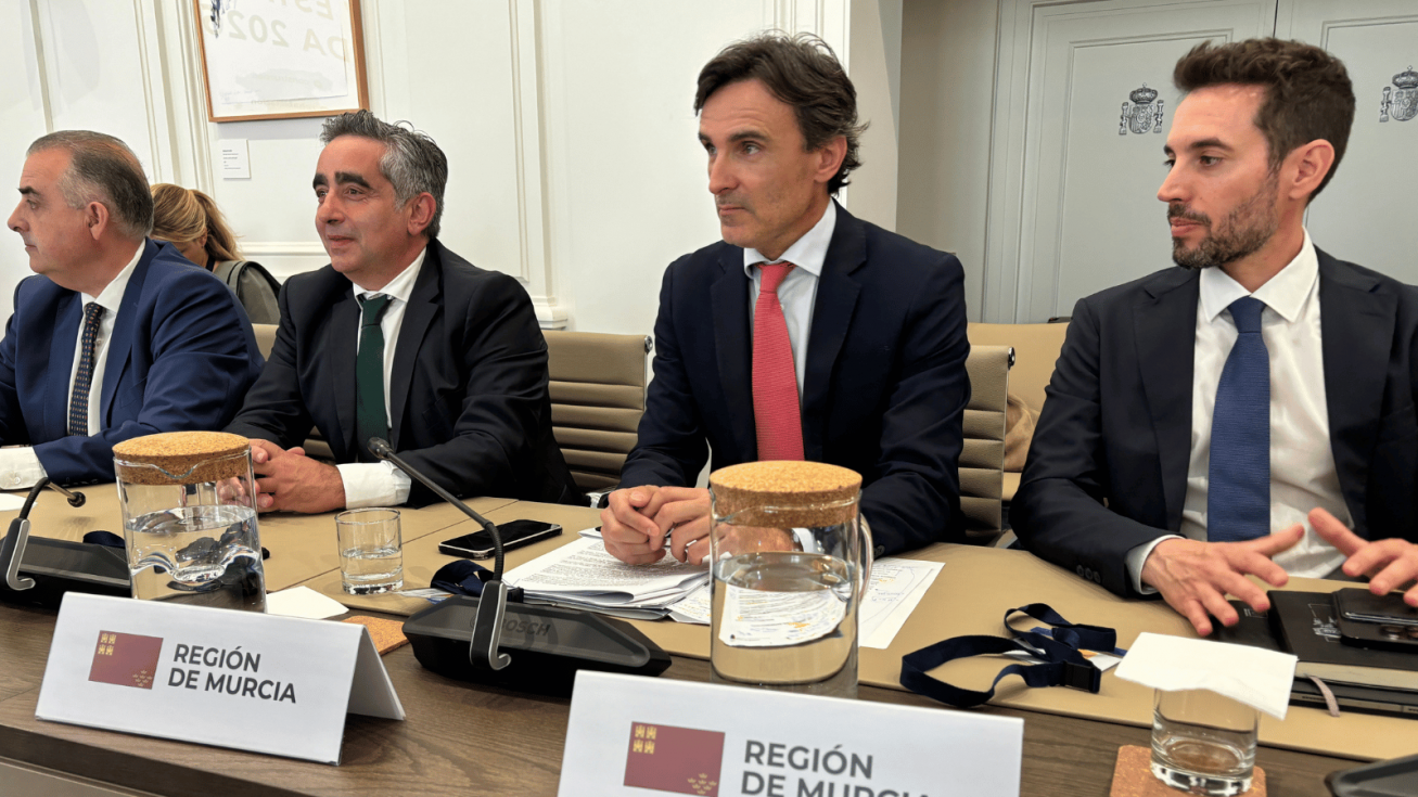 El consejero de Fomento e Infraestructuras, Jorge Garc&iacute;a Montoro, durante la Conferencia Sectorial de Vivienda y Agenda Urbana - CARM